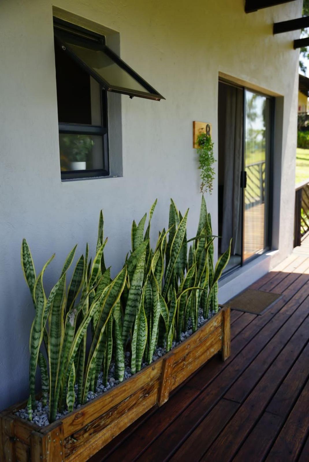 האזיביו Nabana Lodge מראה חיצוני תמונה