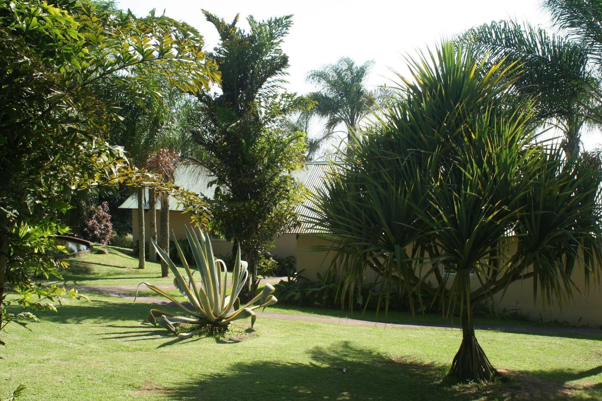 האזיביו Nabana Lodge מראה חיצוני תמונה